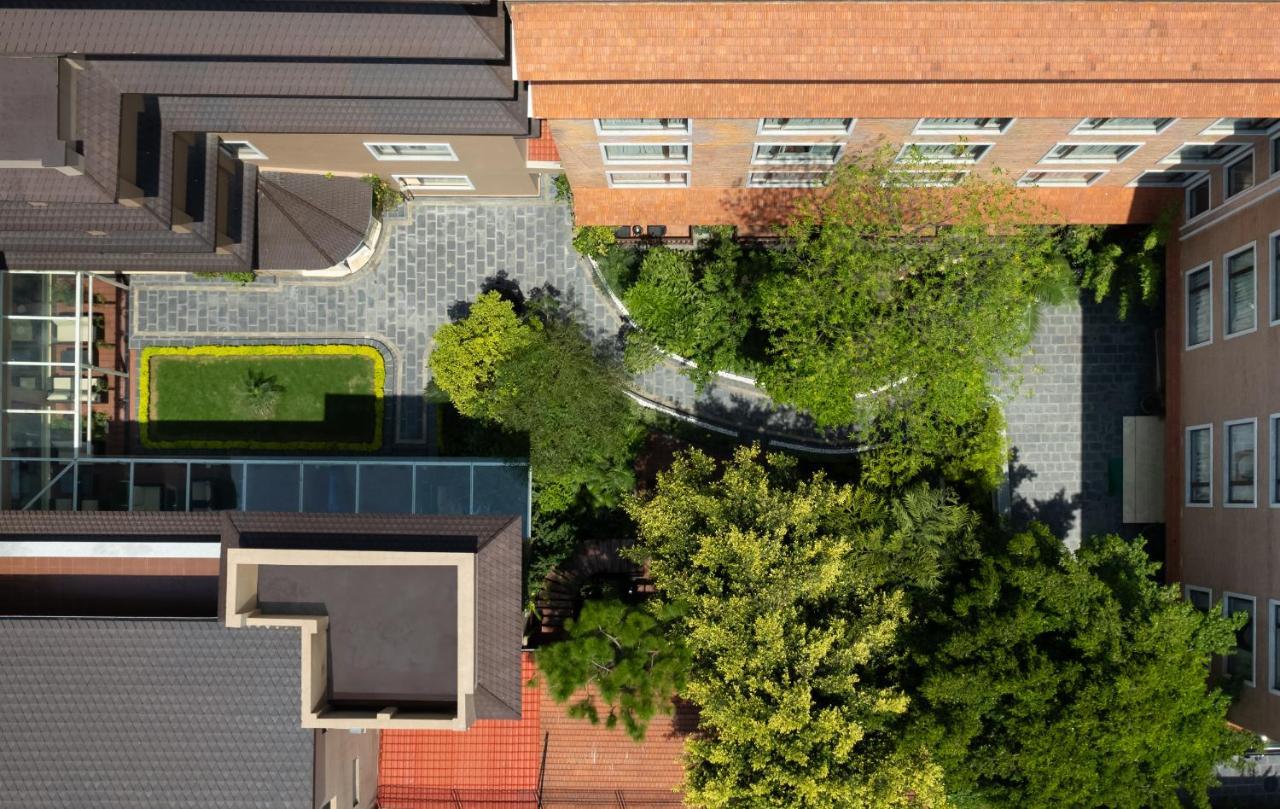 Thrive, A Tropical Courtyard